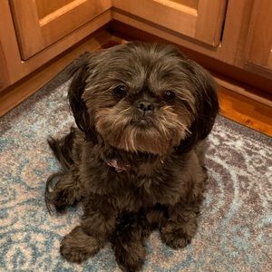 Meet your Posher, Andrea